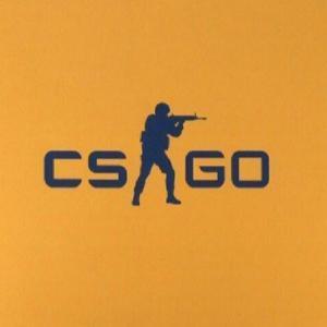 Батыс ҚазақстаН Паблик ™ © (CSGO)