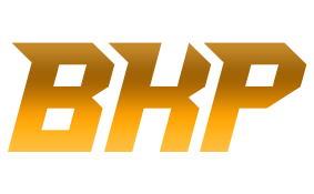 BATYS-PUBLIC.KZ